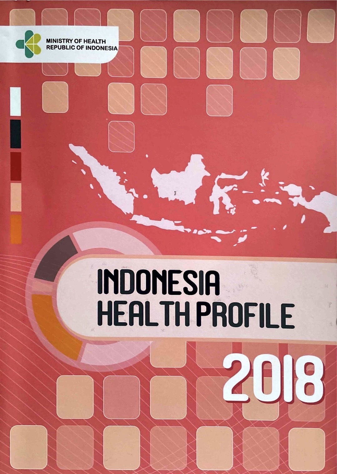 Indonesia Health Profile