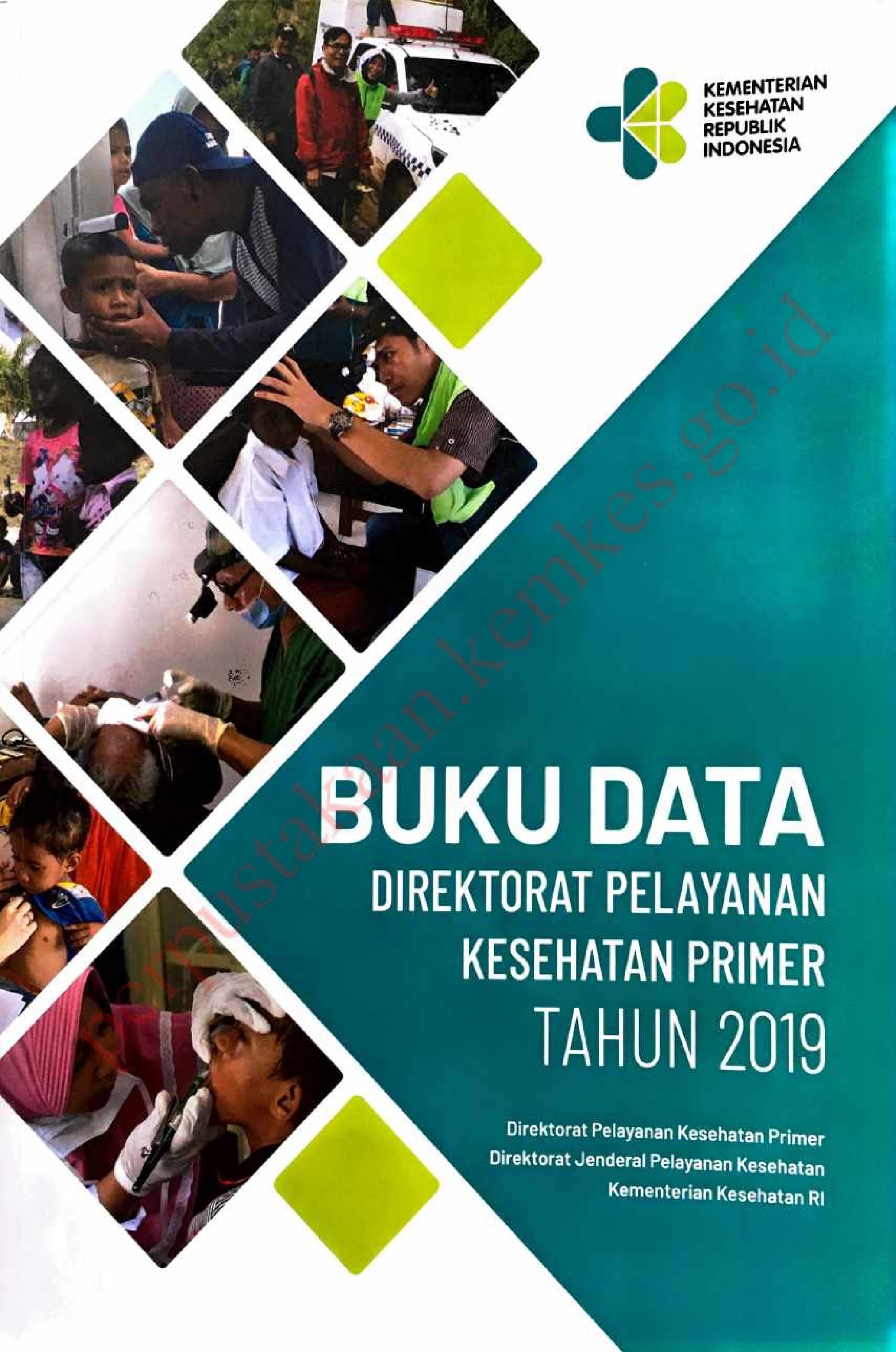 Buku data Direktorat Pelayanan Kesehatan Primer Tahun 2019