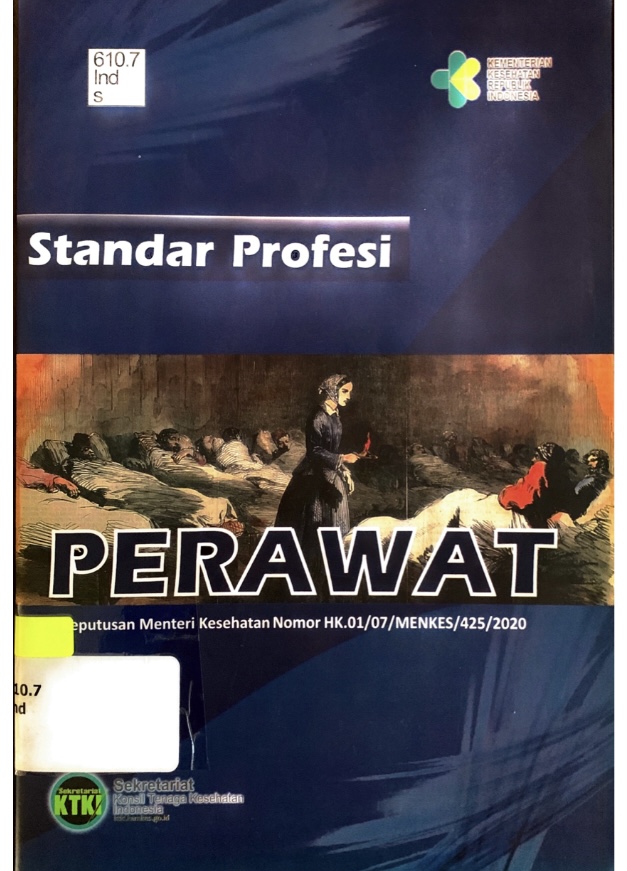 Standar Profesi Perawat