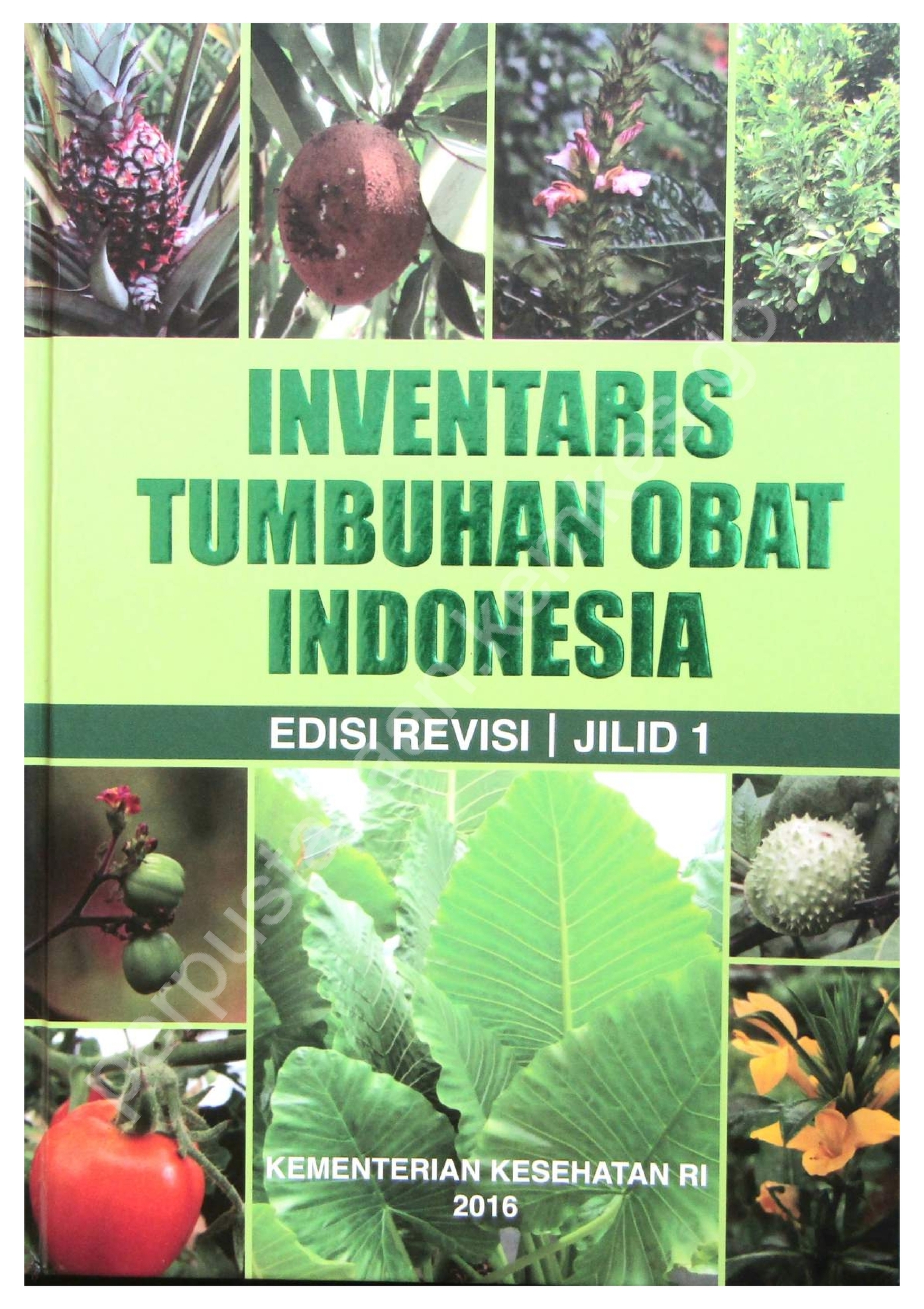 Inventaris Tumbuhan Obat Indonesia